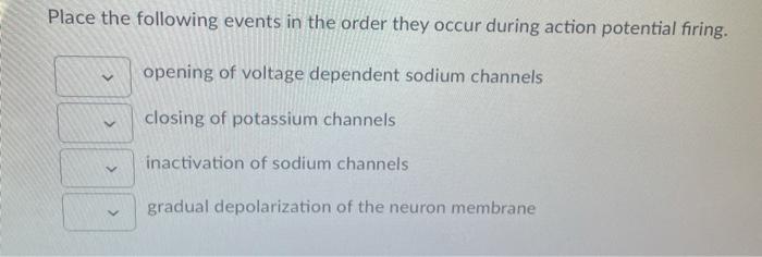 Solved Which of the following would likely reduce or even | Chegg.com