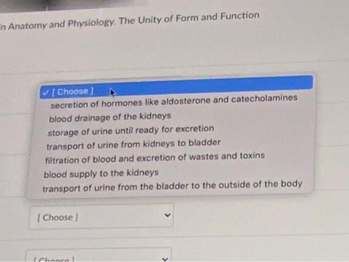 Solved Adrenal Gland Real Artery Renal Vein Kidney Urethra Chegg