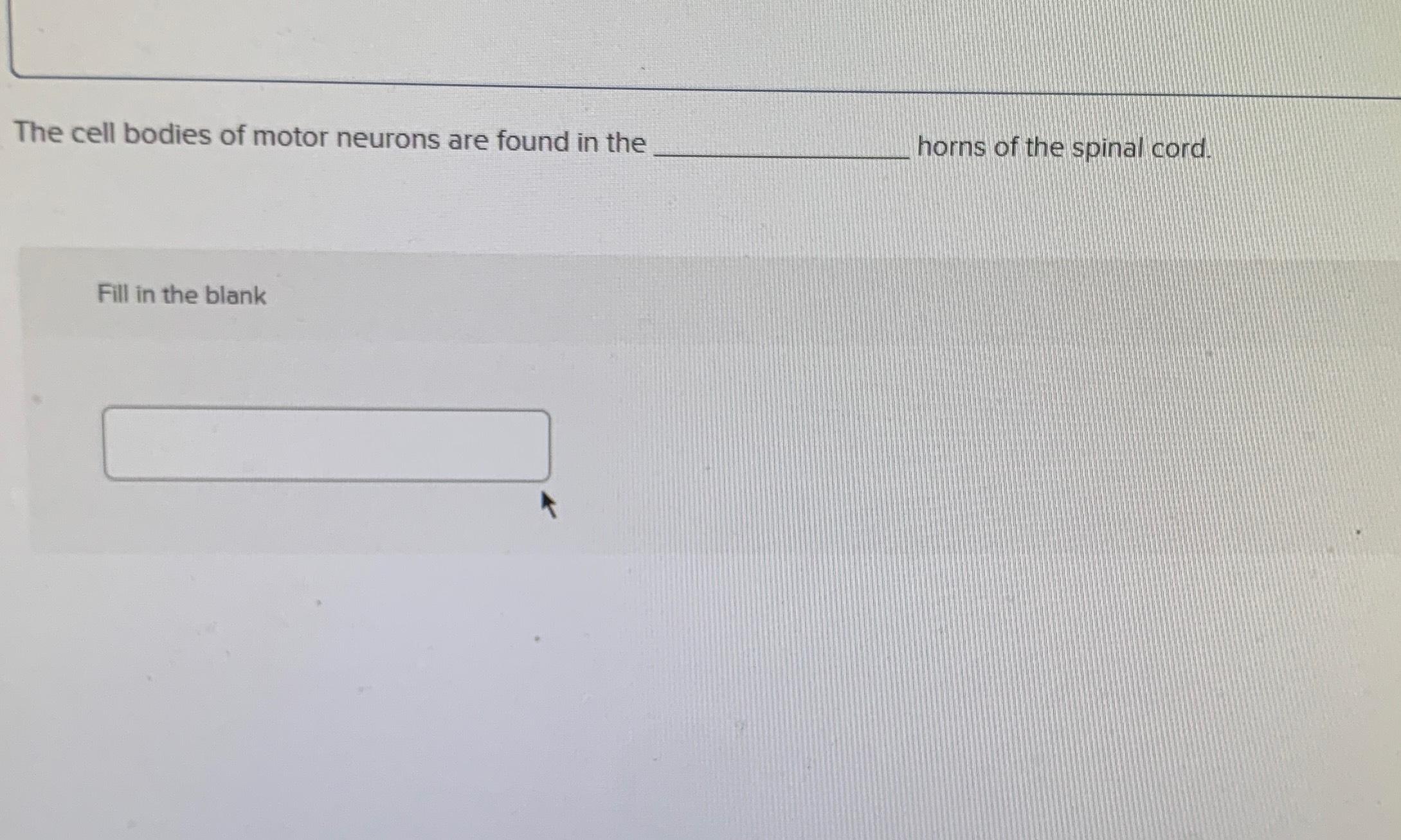 Solved The cell bodies of motor neurons are found in the | Chegg.com