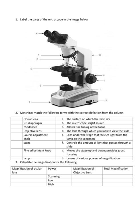 Solved 1. Label the parts of the microscope in the image | Chegg.com