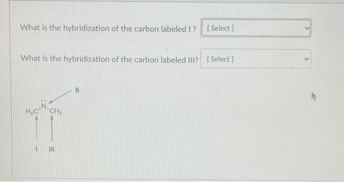 Solved What is the hybridization of the carbon labeled I? [ | Chegg.com