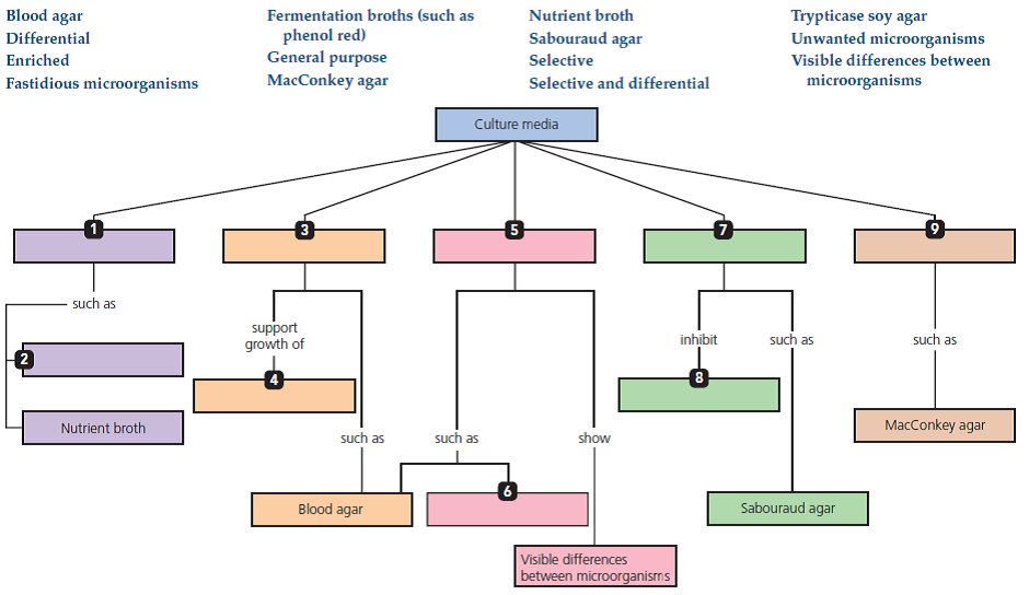 Culture Media Concept Map Chapter 6 Solutions | Microbiology With Diseases By Taxonomy 5th 