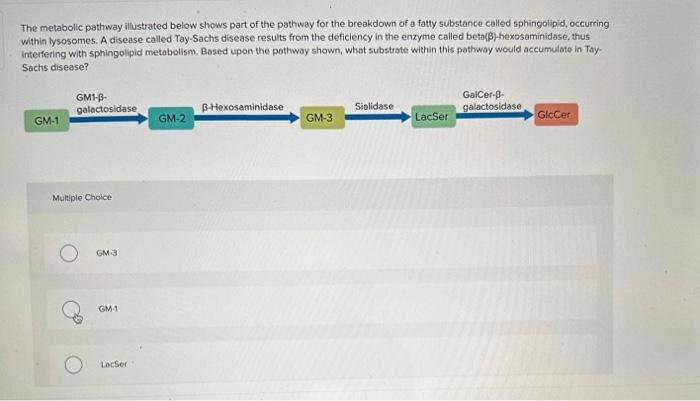 Solved The metabolic pathway illustrated below shows part of | Chegg.com