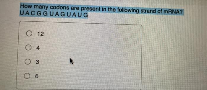 Solved: How Many Codons Are Present In The Following Stran... | Chegg.com