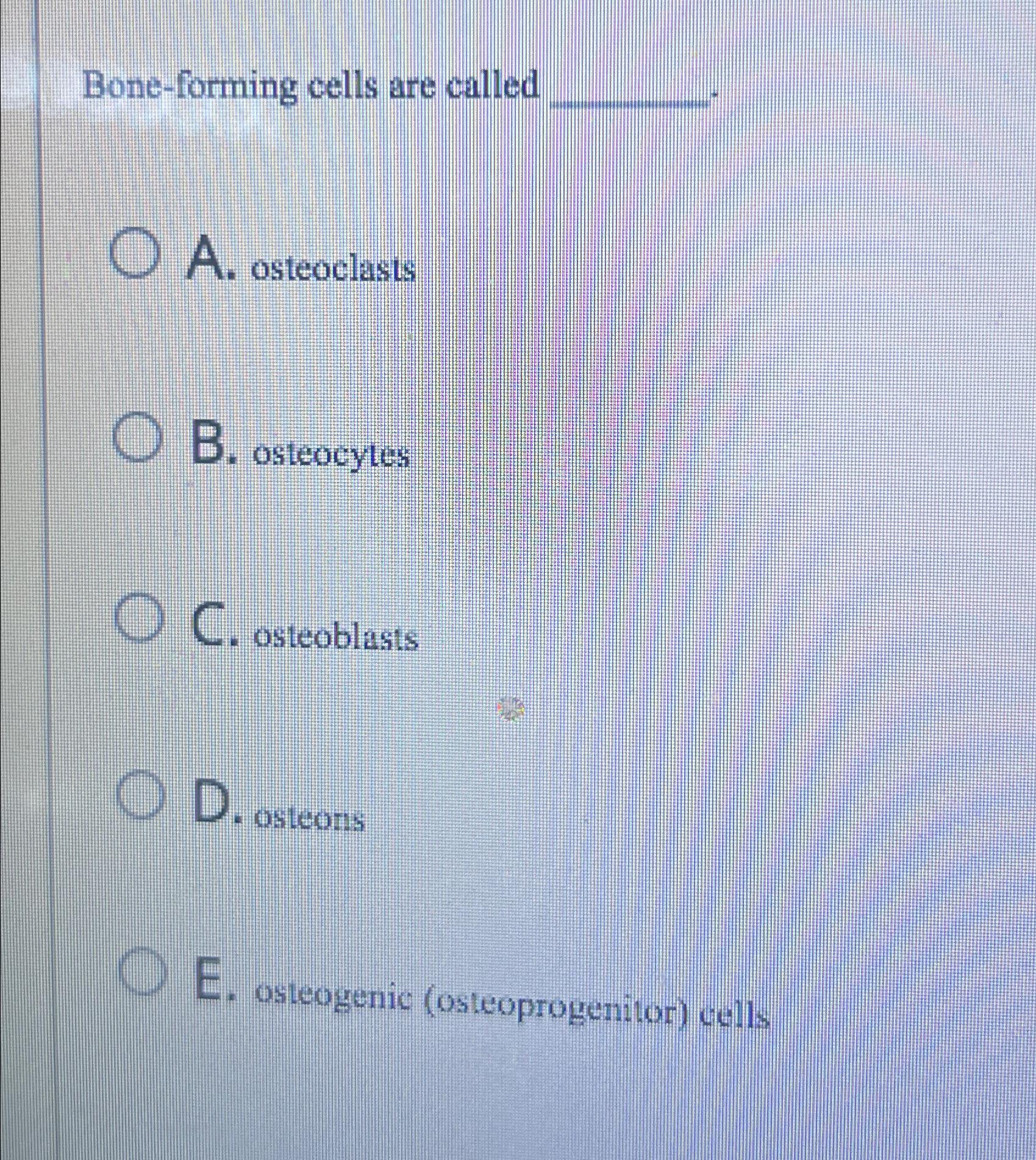 Solved Bone-forming Cells Are Calleda. ﻿osteoclastsb. 