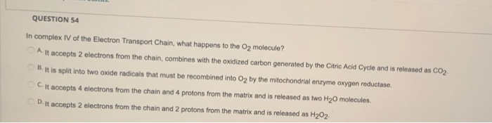 Solved QUESTION 54 In complex IV of the Electron Transport | Chegg.com