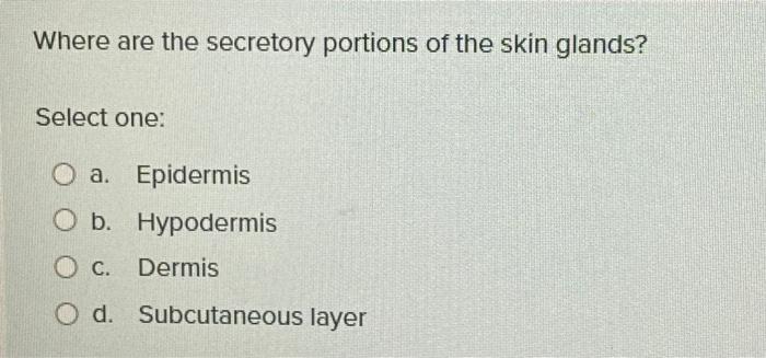 Solved Where are the secretory portions of the skin glands? | Chegg.com