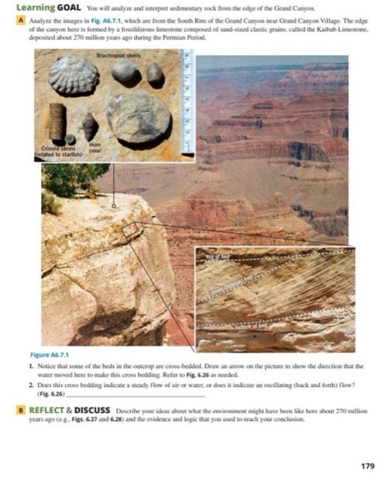 Learning GOAL You will analyze and interpret sedimentary rock from the edge of the Grand Canyon
A Analyze the images in Fig. 