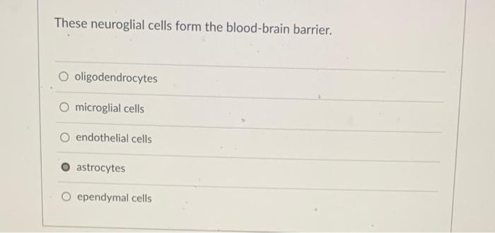 Solved These neuroglial cells form the blood-brain barrier. | Chegg.com