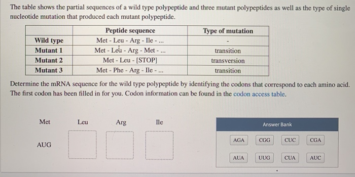 Solved The table shows the partial sequences of a wild type | Chegg.com