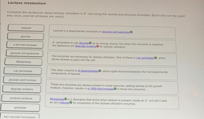 solved-lactose-metabolism-complete-the-sentences-about-chegg