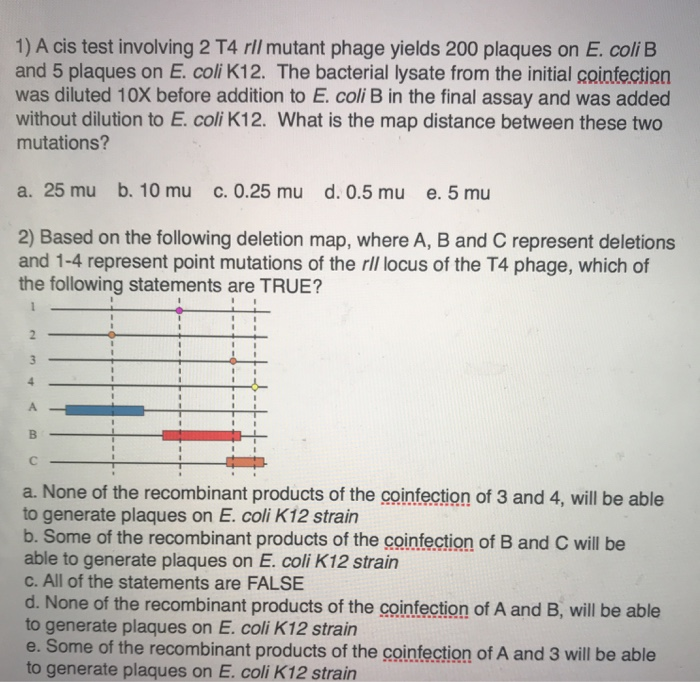 1 A Cis Test Involving 2 T4 Rll Mutant Phage Yiel Chegg Com