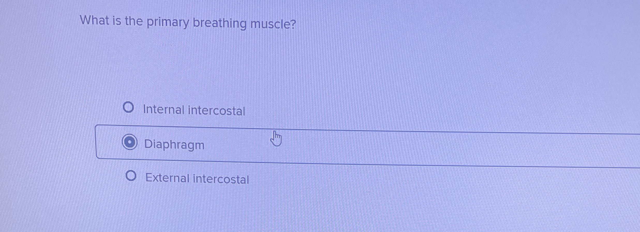 Solved What Is The Primary Breathing Muscle?internal 