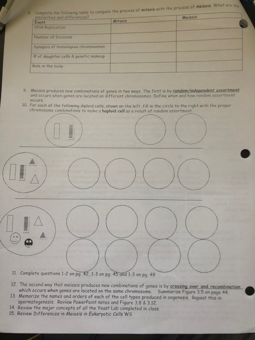 Solved Complete the following table to compare the process | Chegg.com