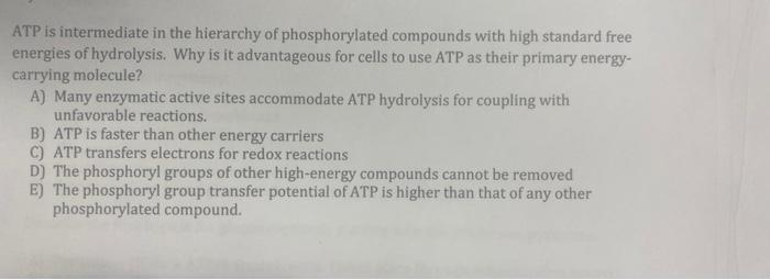 Solved ATP is intermediate in the hierarchy of | Chegg.com