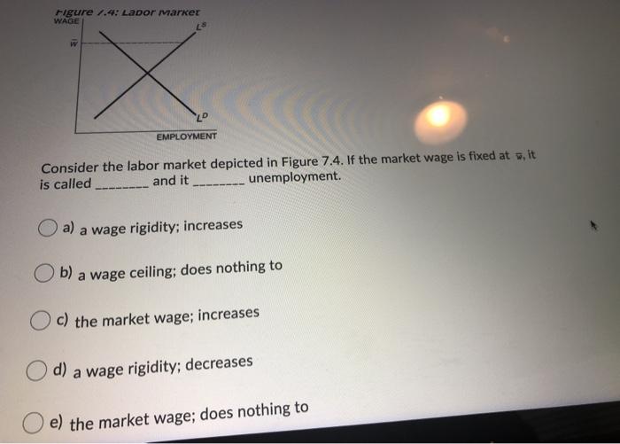 Solved Figure 7.4: Labor marker WAGE w EMPLOYMENT Consider | Chegg.com