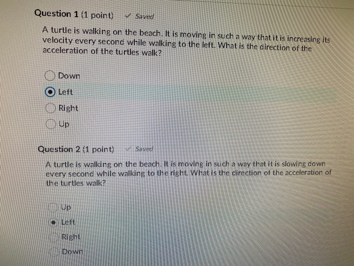 Solved Question 1 (1 point) Saved A turtle is walking on | Chegg.com