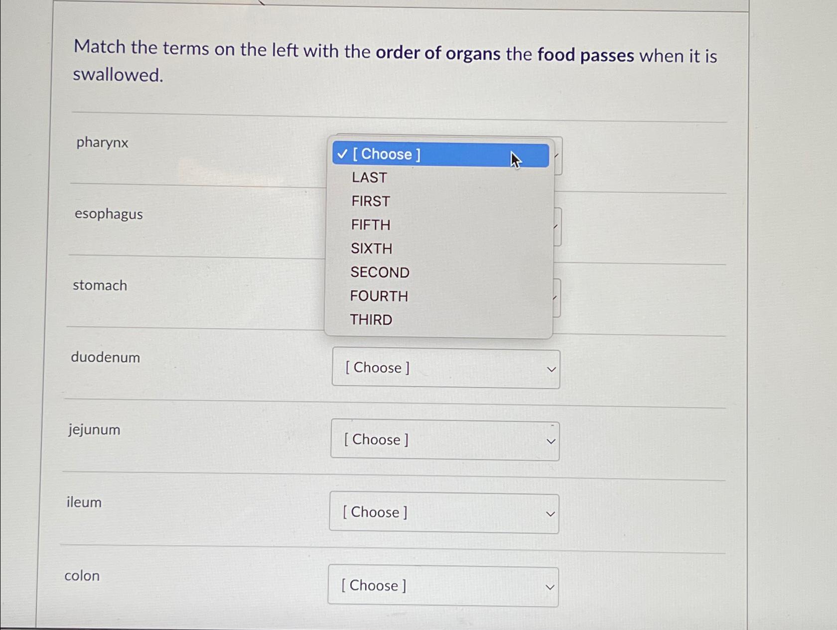 Solved Match the terms on the left with the order of organs | Chegg.com