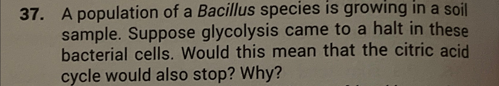 Solved A population of a Bacillus species is growing in a | Chegg.com