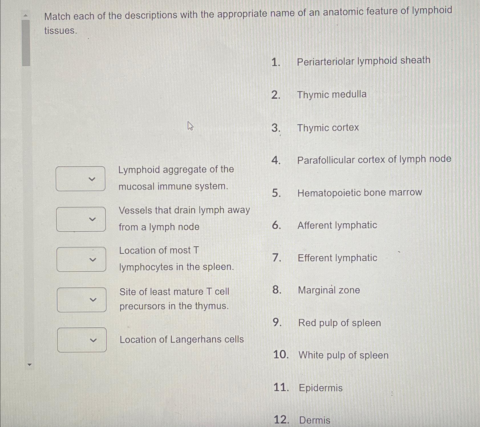 Solved Match Each Of The Descriptions With The Appropriate | Chegg.com