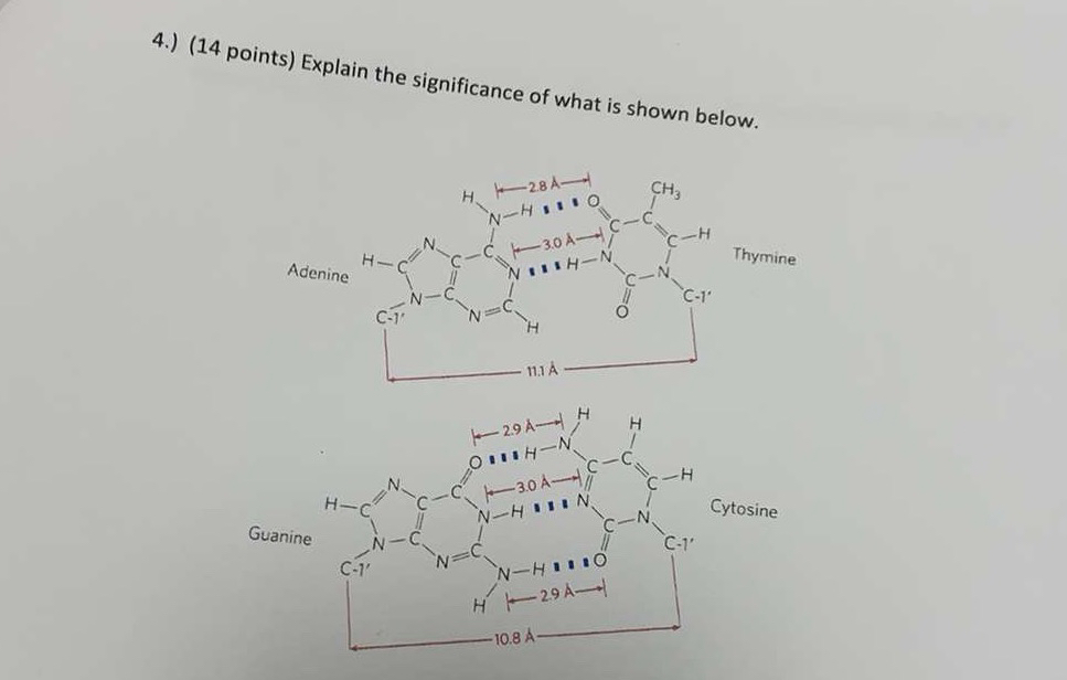 Solved Explain the significance of what is shown below In | Chegg.com