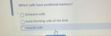 Solved Which cells have positional memory?Schwann | Chegg.com