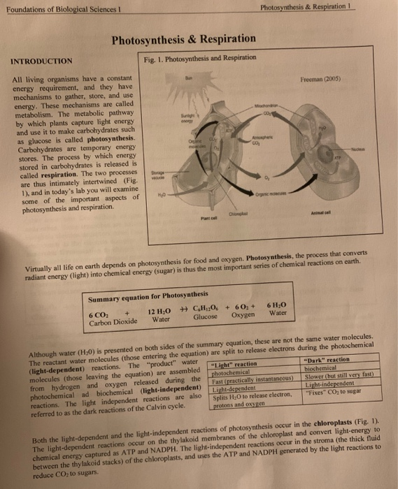 Why Is Atp Important For Photosynthesis