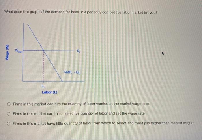 Solved What does this graph of the demand for labor in a | Chegg.com