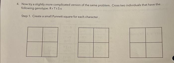 Solved Cross two individuals that have the following | Chegg.com