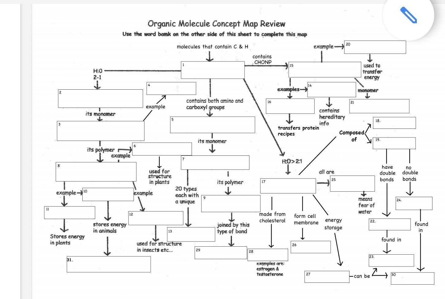 Organic Molecule Concept Map Interactive Map 5739