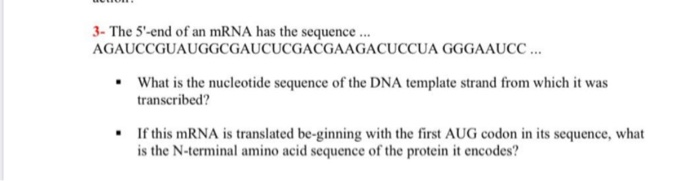 Solved 3- The 5'-end of an mRNA has the sequence ... | Chegg.com