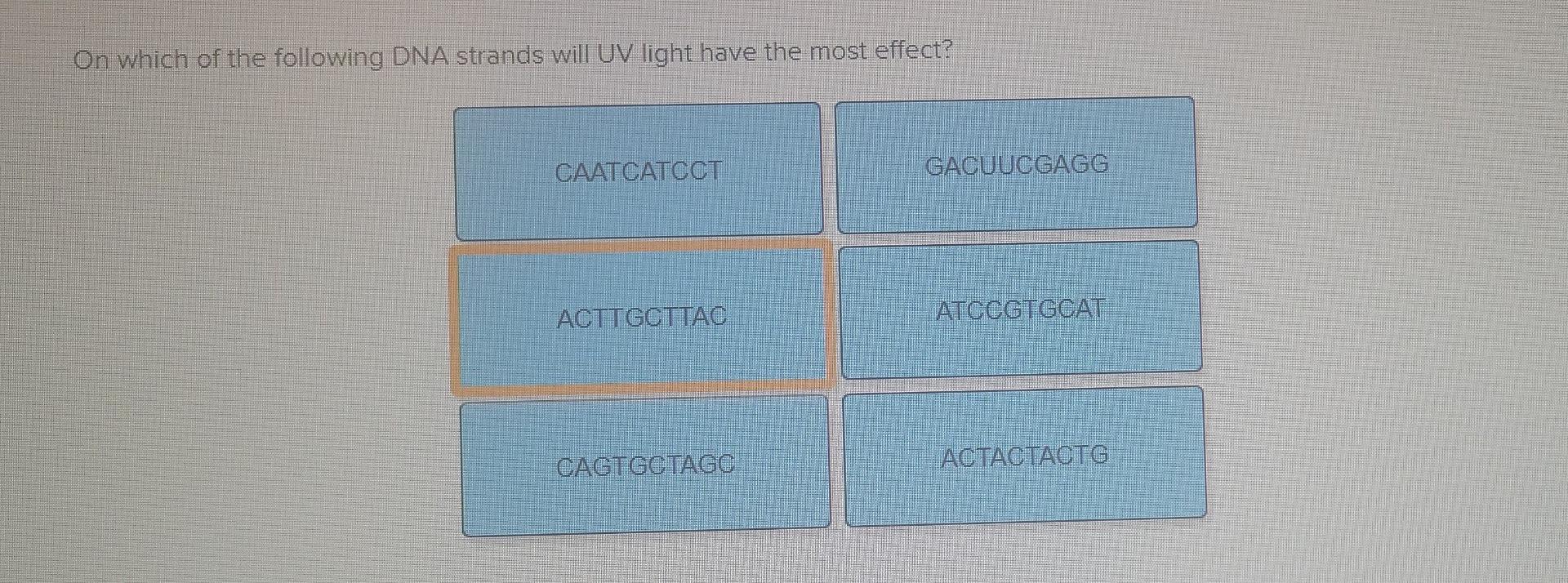 Solved On which of the following DNA strands will UV light | Chegg.com