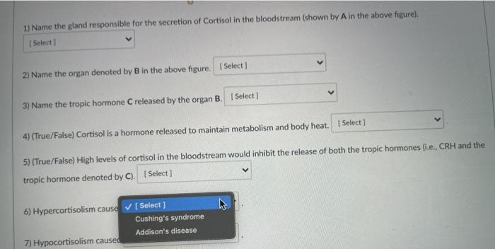 Solved The below shows that in the с A 1) Name the gland | Chegg.com