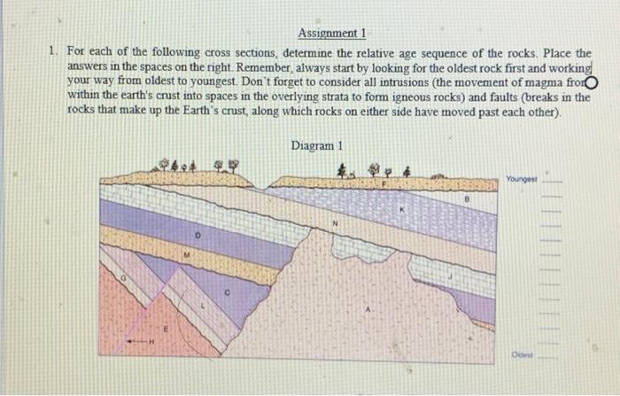 Solved Assignment 1 1. For each of the following cross | Chegg.com