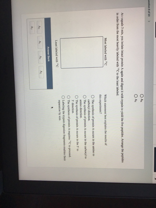 Solved stion 8 of 20 > Suppose that you have a | Chegg.com