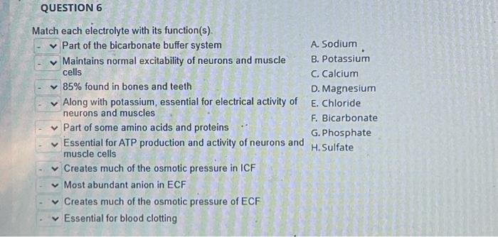 Solved Match Each Electrolyte With Its Function(s). Part Of | Chegg.com