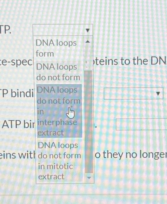 Solved The drop are the answer choices that is used once for