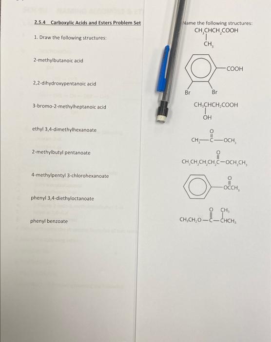 Solved 2.5.4 Carboxylic Acids and Esters Problem Set Name | Chegg.com