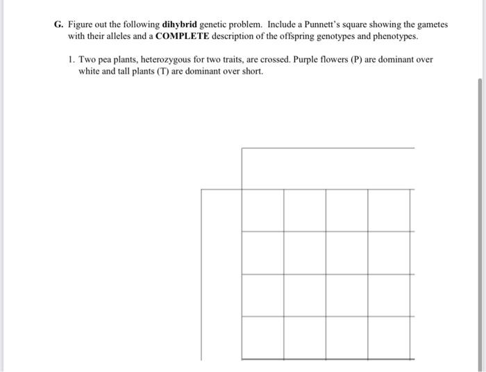 Solved D. Set up the Punnett squares for each of the crosses | Chegg.com