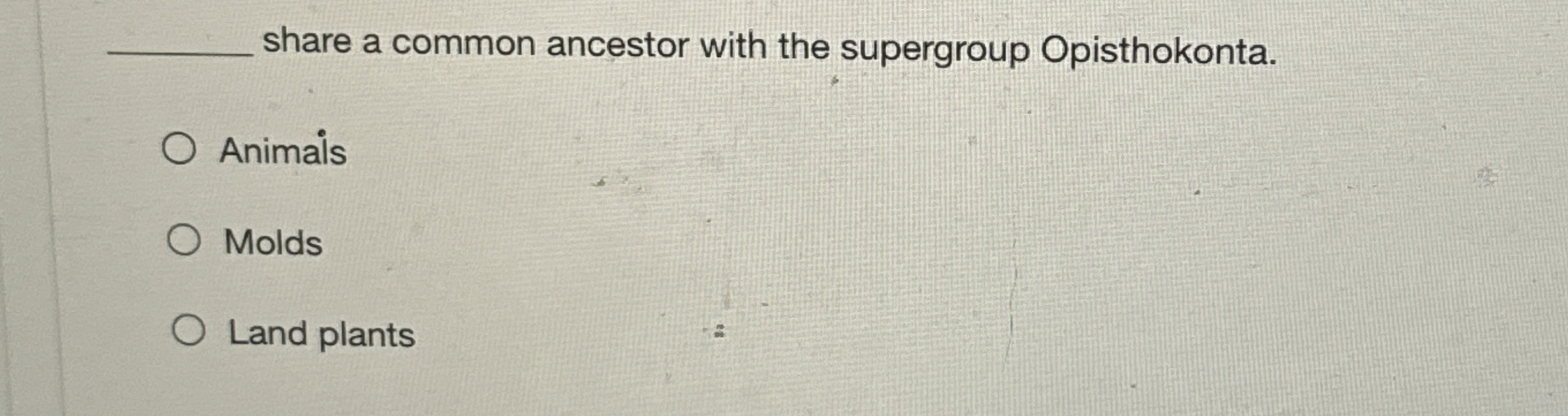 share a common ancestor with the supergroup archaeplastida