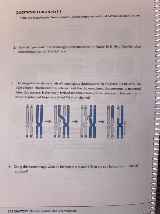 Results From Crossing Over And The Random Position Of Chegg Com