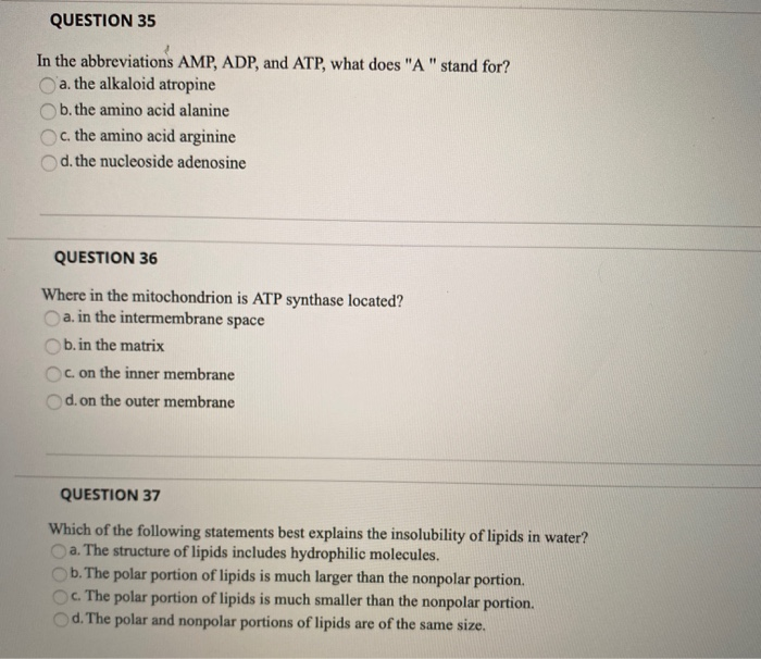 Solved QUESTION 32 Which of the following molecules is the | Chegg.com