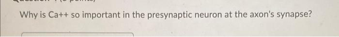 Solved Why is Ca++ so important in the presynaptic neuron at | Chegg.com