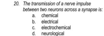 Solved 20. The transmission of a nerve impulse between two | Chegg.com