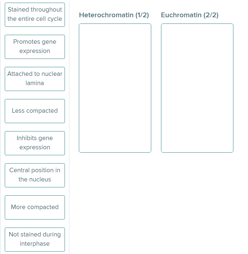 Solved Group each characteristic in the correct category | Chegg.com