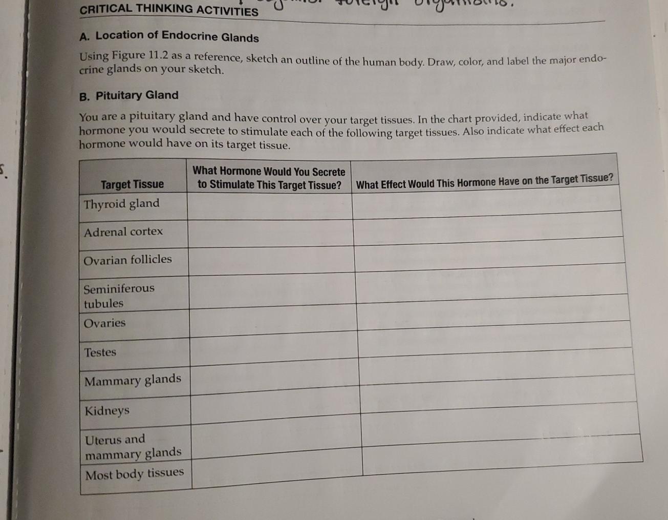 Maguire localization picture