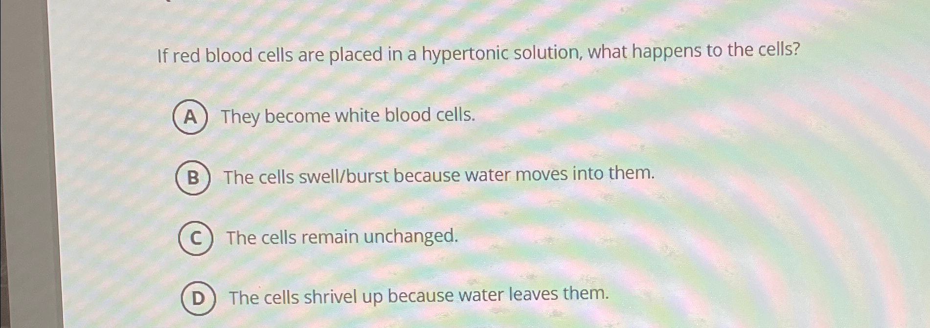 Solved If red blood cells are placed in a hypertonic | Chegg.com