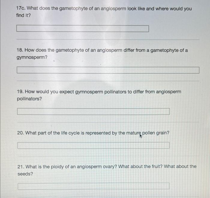 Solved 17c. What Does The Gametophyte Of An Angiosperm Look | Chegg.com