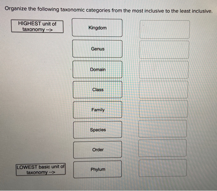 Which Of The Following Taxonomic Ranks Is Least Inclusive?