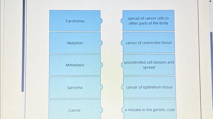 Solved Match the term with its correct description. | Chegg.com